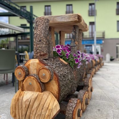 ristorante-il-bizzarrocolico-specialità-carne-colico_3292